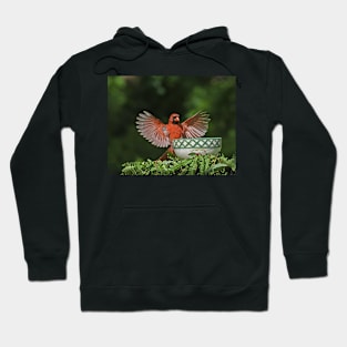 Red Cardinal Bird Wings Hoodie